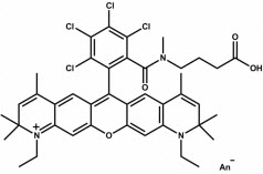 Bio-Synthesis Inc. Oligo Structure